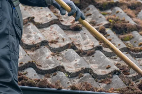 Reading Roof Moss Removal Experts