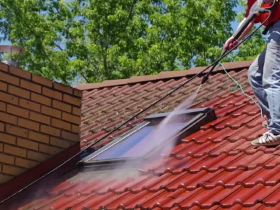 Thatcham roof moss remover